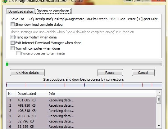 Internet Download Manager 6.07 Serial Number Crack